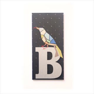 House Number(NZ BIRDS): B