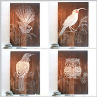 Printed Circle | Rectangle | Skate...