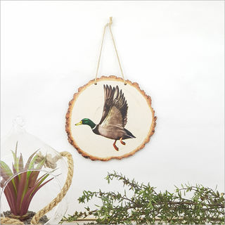 Wood Slice Art: Colour Flying Duck