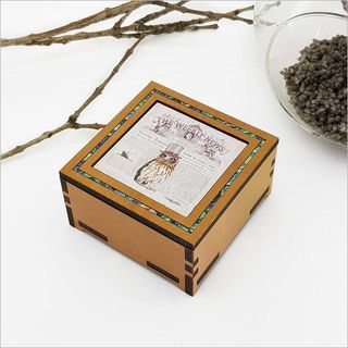 Small Trinket Box: Vintage Morepork