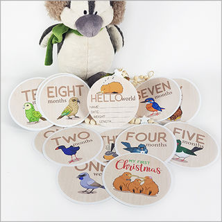 Milestone discs set: NZ birds (15 reusable fabric stickers+1 acrylic disc)