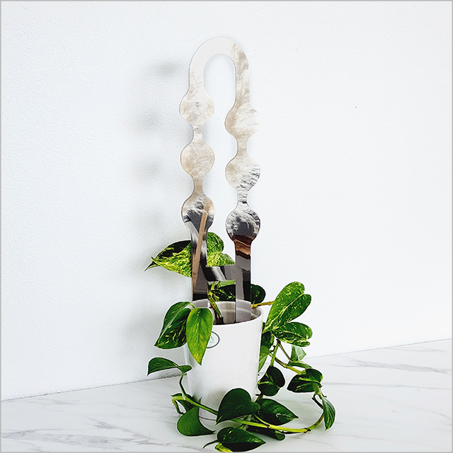 Plant Trellis: Bubble Mirror