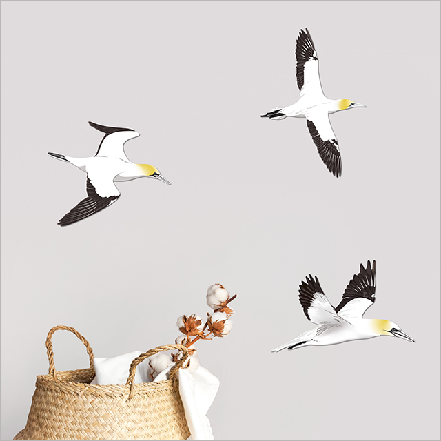 Printed ACM Birds Set: Takapu / Gannet