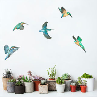 Printed ACM Birds Set: Kingfisher