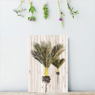 Plywood Rectangle: LW Nikau (Small)