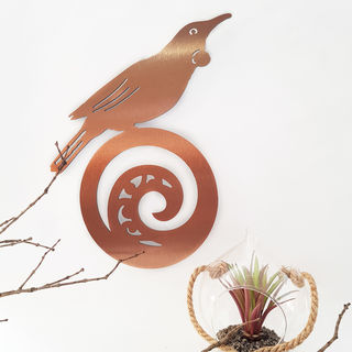 Tui on Koru