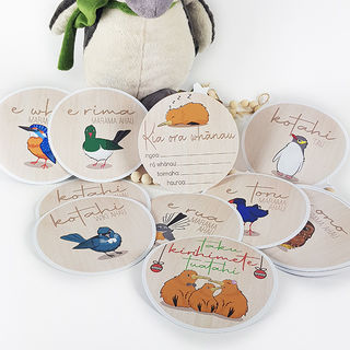 Te Reo Maori Milestone discs set: NZ birds