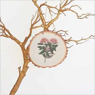 Wood Slice Art: Sarah Featon Pohutukawa