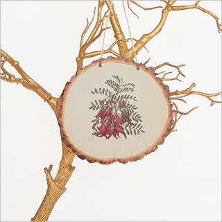 Wood Slice Art: Sarah Featon Kakabeak