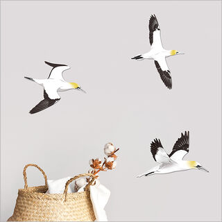 Printed ACM Birds Set: Takapu / Gannet