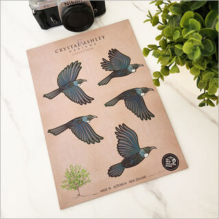 Pop-Out: Tui Set