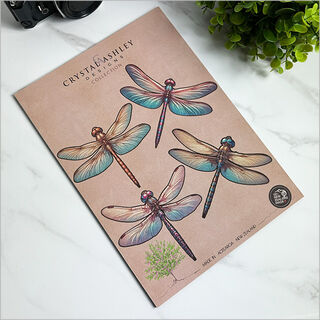 Pop-Out: Dragonfly Set