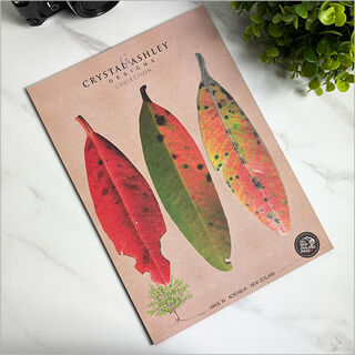 Pop-Out: Pohutukawa Leaves Set