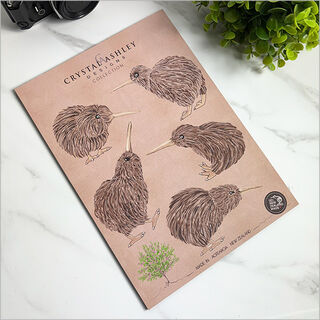 Pop-Out: Kiwi Set